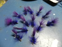 purple bugs 001.JPG