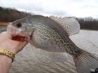 Lake Hartwell 3-12-12 002.jpg