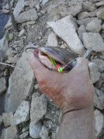 Image03222012171558.jpg