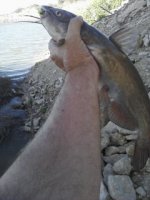 Image03222012171741.jpg
