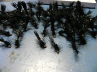 black woolly buggers 004.JPG