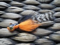 feathertailclose.JPG