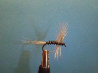 flies tied 134.jpg