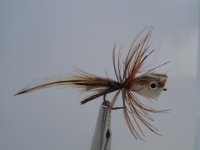 Tied feather-head popper 7-8-12 006.JPG