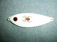 Spider Shad 001.jpg