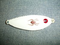 Spider Shad 002.jpg