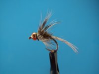 fly tying 004.JPG