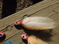 DSCN0420.JPG