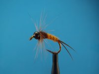 fly tying 4-4-13 003.JPG