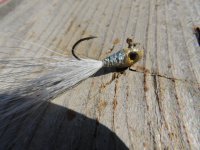 DSCN0438.JPG