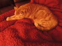 DSCN0561.JPG