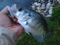 IMG_0889.jpg