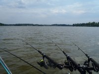 Greenwood 5-17-13 003.JPG