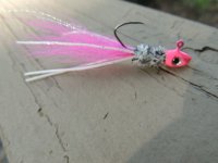DSCN0809.JPG