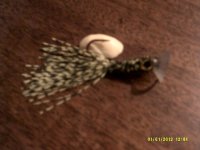 sucker lure bass popper.jpg