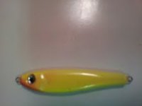 custom shad 2.jpeg