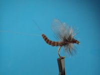 fly tying 009.JPG