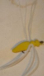 Yellow Spider.jpg