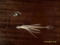 DSCF0035.JPG