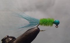 20150406LilBuggerBlueChartreuse1.JPG