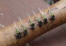 20150828LightningBugs.JPG