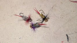 redtail jig 005 (640x360).jpg