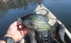 20160417Crappie.JPG