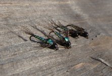 20161017MirageOpalLightningBugs.JPG