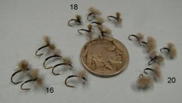 20170327BunnyMidges.JPG