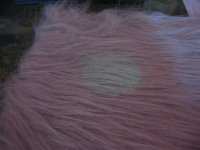 IMG_5443.JPG