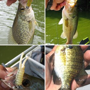 soft plastic lures on light jigs