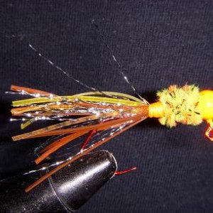 gnat jig 006.jpg