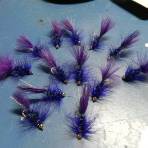 purple bugs 001.JPG