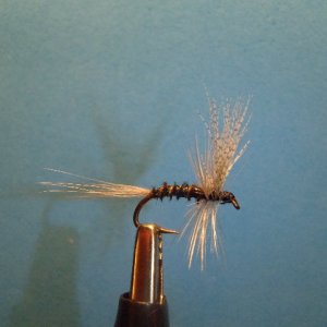 flies tied 134.jpg