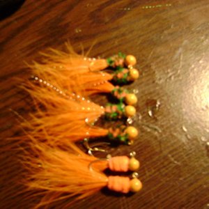 Media 'DSC00010.JPG' in category 'Jig Pics / Recipes'