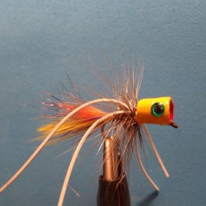 flies tied 2012 003.JPG