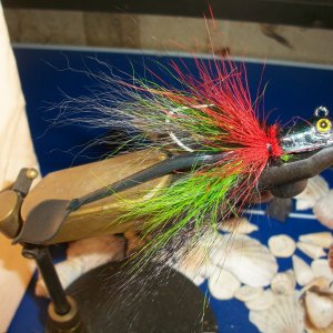 Media 'Dragon\'s Mane 002.jpg' in category 'Jig Pics / Recipes'