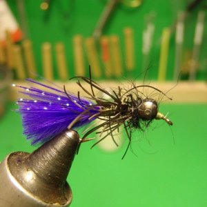 size 12 shaggy dub fly 012.JPG