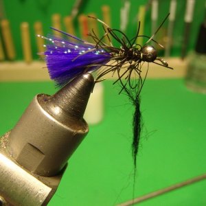 size 12 shaggy dub fly 011.JPG