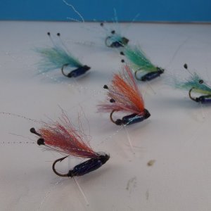 Shrimp 1-32 003.JPG