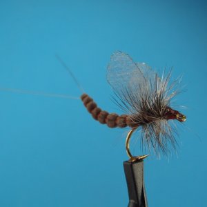 fly tying 009.JPG