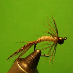 Media 'size 4 grub 003.JPG' in category 'Fly Tying & Fly Pics / Recipes'