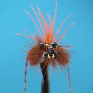 fly tying crayfish 008.JPG