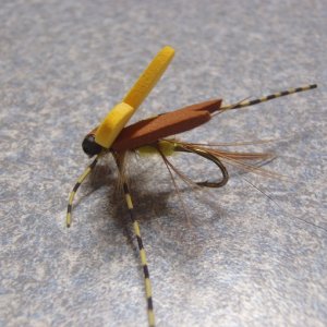 Media 'Winged grass hopper 003.JPG' in category 'Fly Tying & Fly Pics / Recipes'