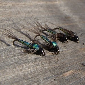 20161017MirageOpalLightningBugs.JPG