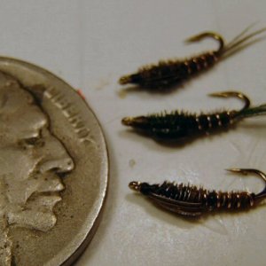 20180314MicroPTNymph.JPG